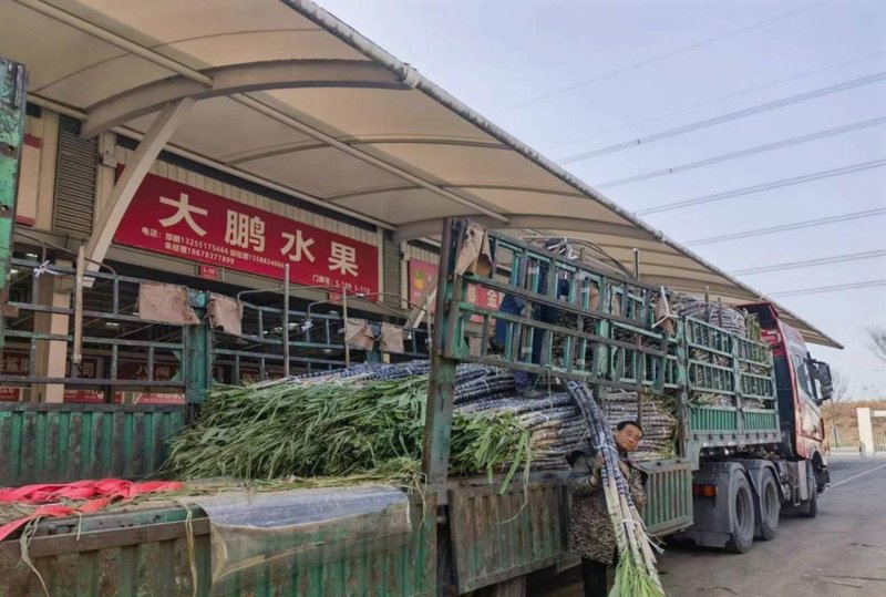 石家庄批发采购：趋势解读与市场洞察