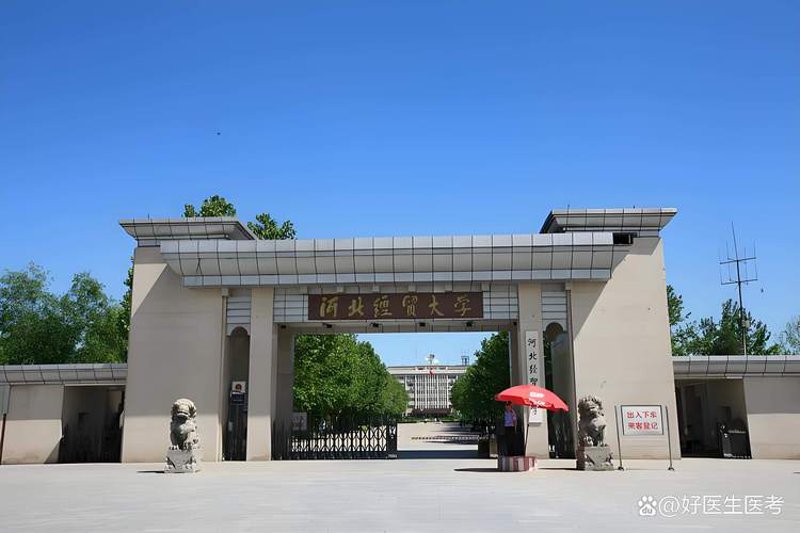 河北商品批发：供应链的风向标
